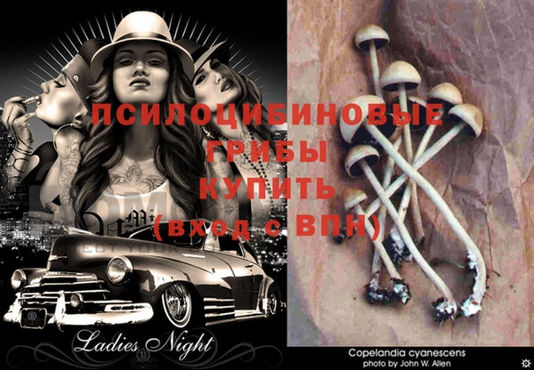 прущий лед Абдулино
