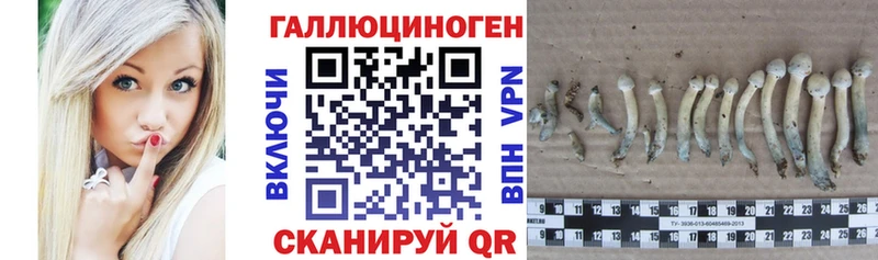 Псилоцибиновые грибы прущие грибы  Симферополь 
